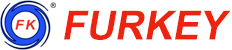 Pompes Cie., Ltd de Shandong Furkey.